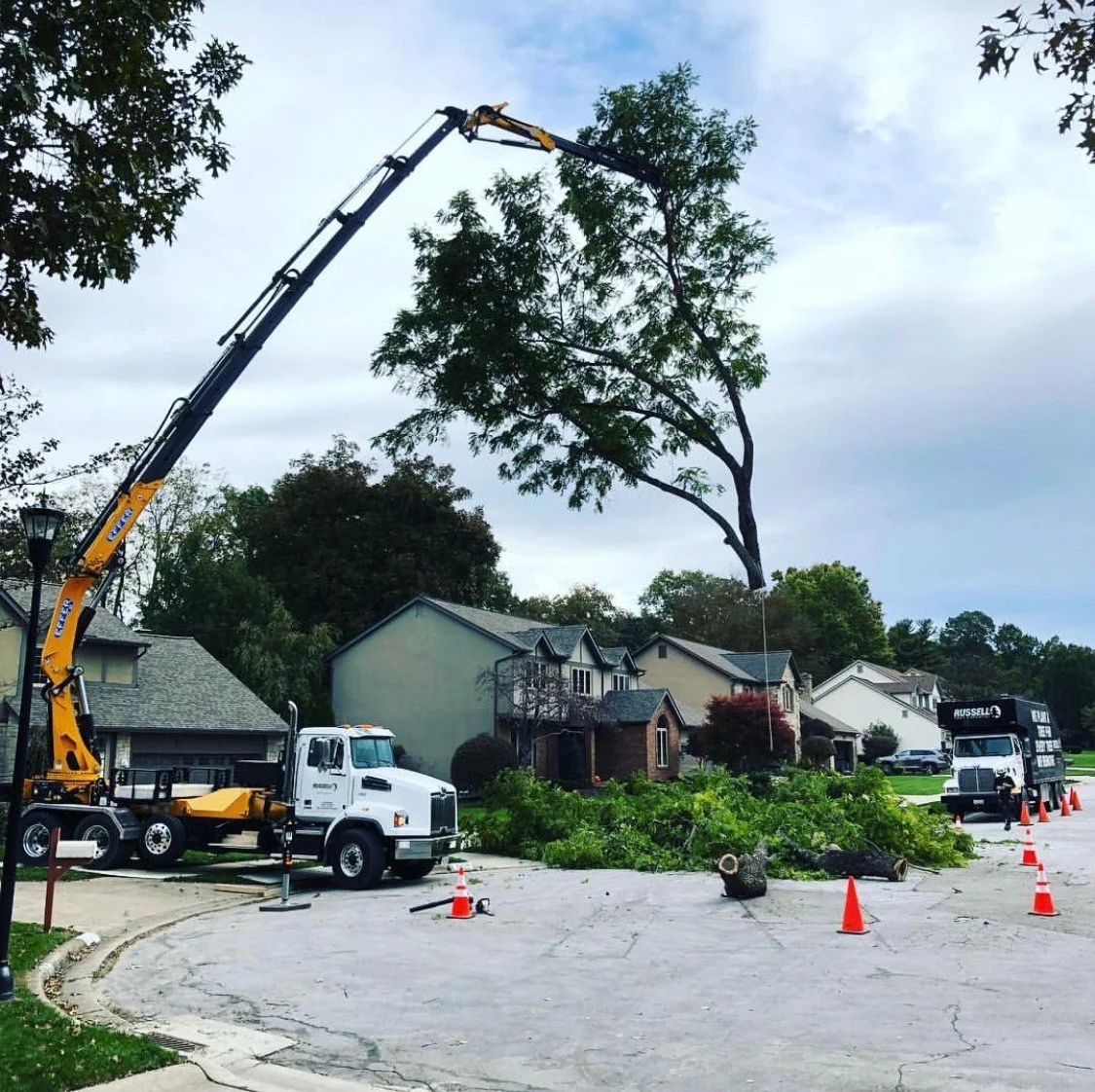 MR Tree Service No.1