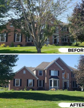 MR Tree Service No.1