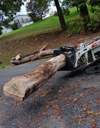 JD Tree Service Tennessee