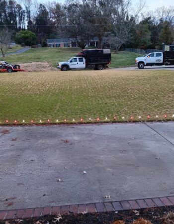 JD Tree Service Tennessee